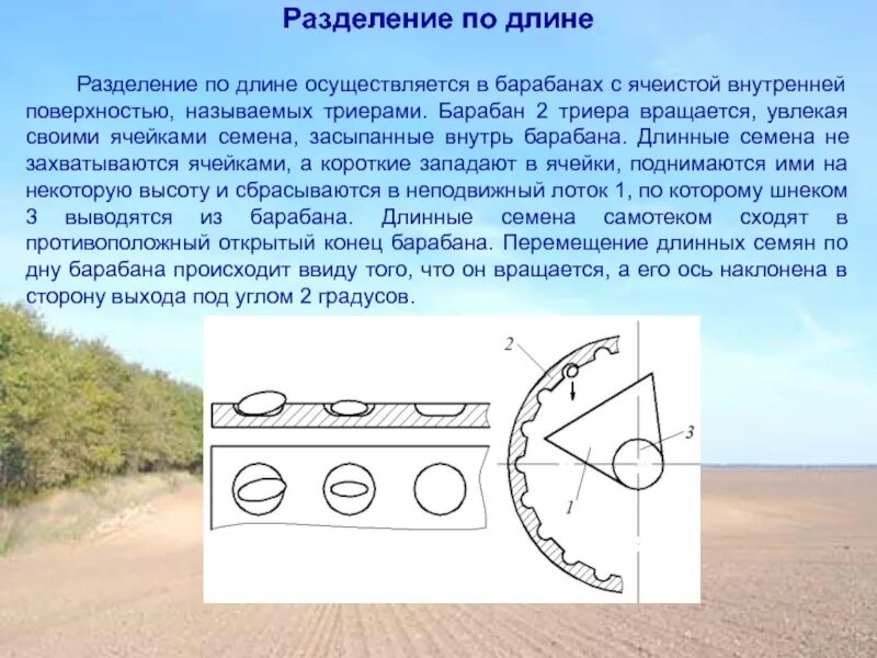 Разбивая поверхность. Ячеистые поверхности Триера. Поверхность разделения. Разделение поверхности на случайные части. Цилиндрический Триер настройки.