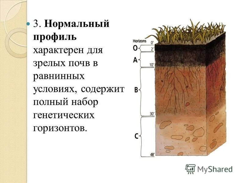 Схема строения почвенного профиля. Почвенный горизонт а1. Гумусовый почвенный горизонт почвы. Строение почвы почвенные горизонты. Почвенный горизонт b2.