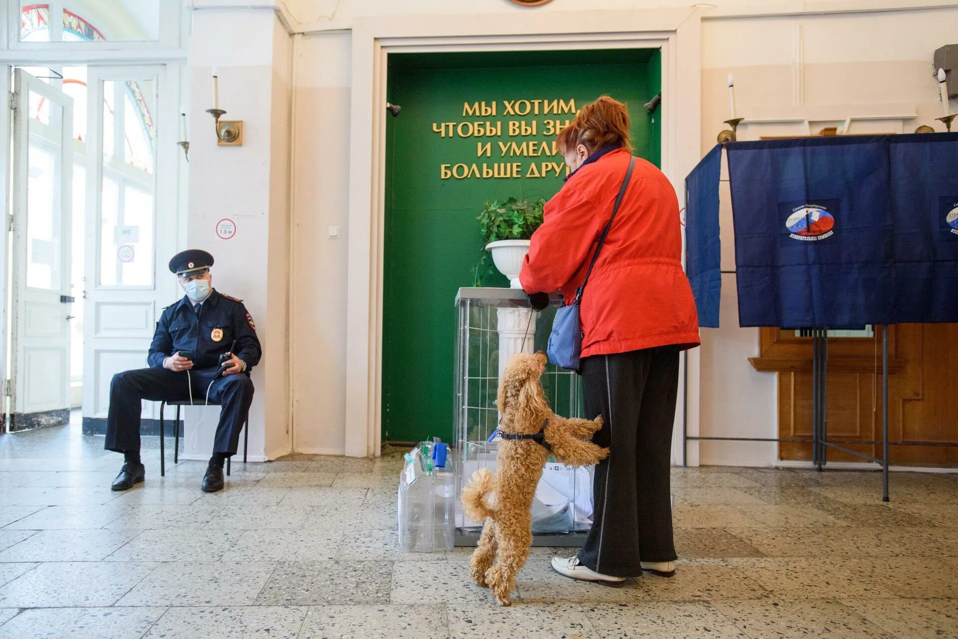 избиратели спб