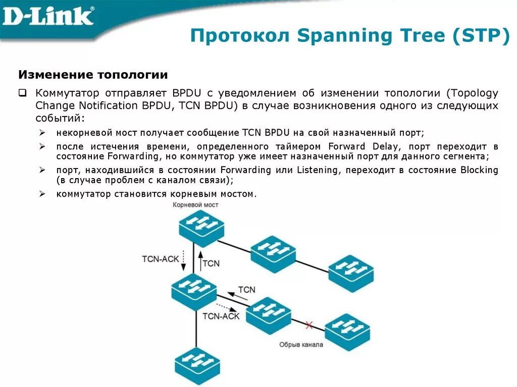 Какой протокол порта. Состояние портов stp. stp протокол схема. spanning tree протокол схема. роли портов stp.