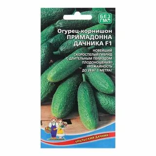 Огурцы дачника