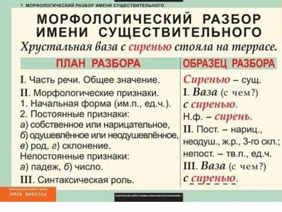 Толстых разбор слова. Морфологический разбор слова словами 5 класс. Морфологический анализ слова 5 класс. Морфологический разбор слова сущ. Морфологический разбор существительного прилагательного и глагола.