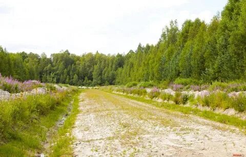 Пту 56 разметелево деревня