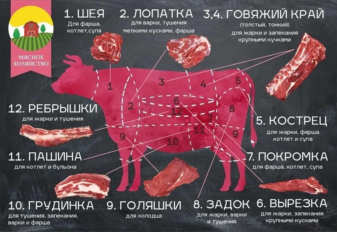 Части говядины. Разделка говядины. Части коровы. Части туши говядины схема.