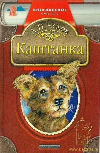 Книга Чехов а. п. «каштанка» (1887). «Каштанка» а. п. Чехова (1887). Рассказ Антона Павловича Чехова каштанка. Книга каштанка чехов читать