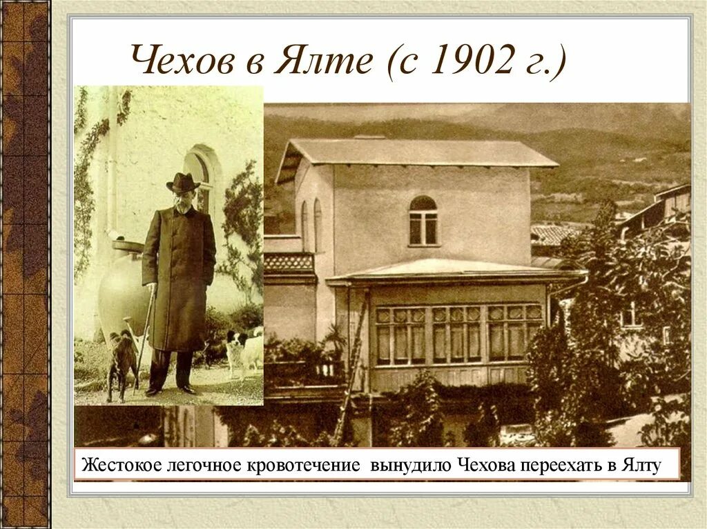 Жизнь чехова в ялте. Жизнь чехова в ялте