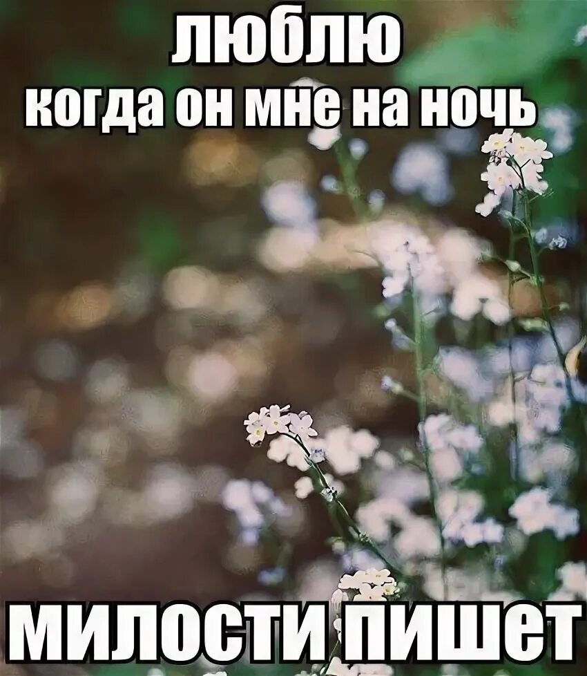 Благодать господа нашего иисуса христа. Псалтирь 50 псалом. Милость его обновляется каждое утро библия. Писать милость. Писать милость.