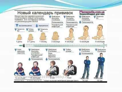 Прививки рб
