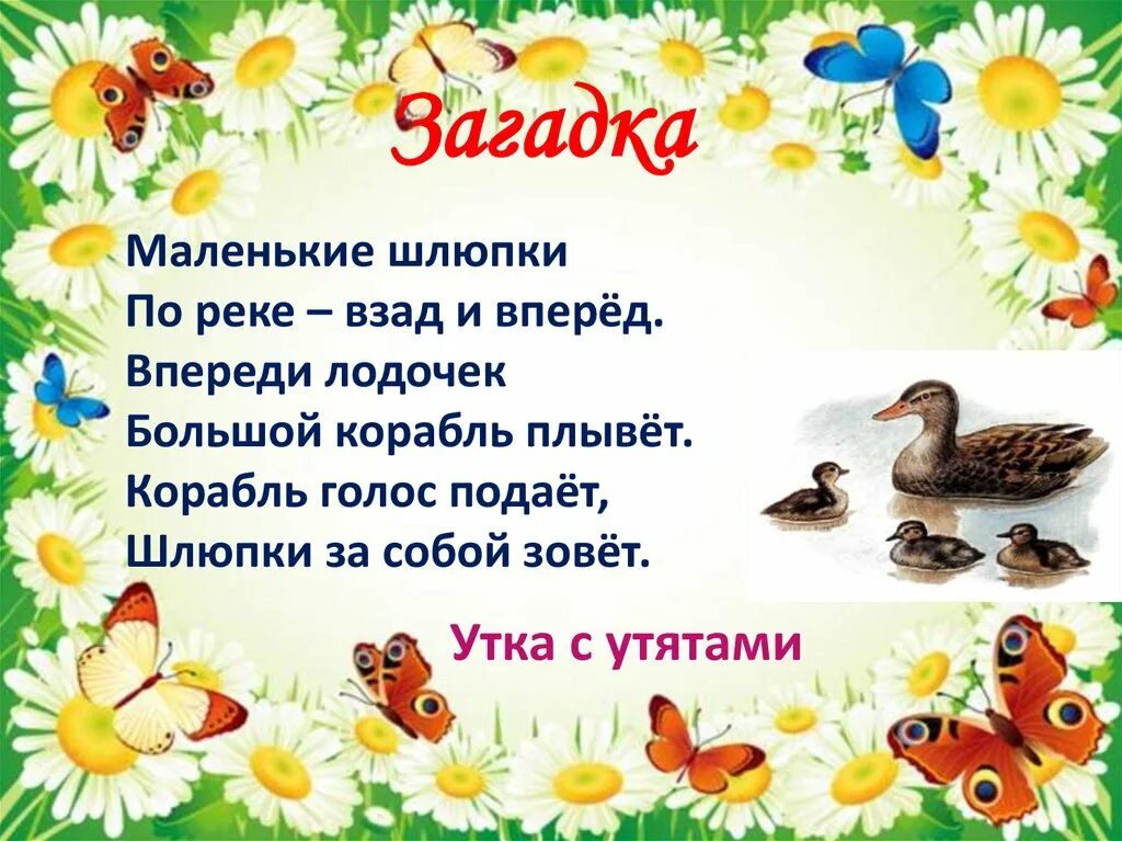 Рассказ пришвина ребята и утята. Рассказ пришвина ребята и утята. Речевая разминка про утят. М пришвин ребята и утята 2 класс. Пришвин ребята и утята урок.