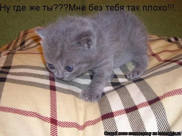 Ну где м