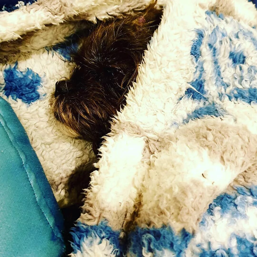 Настроение завернуться в плед. Спрятался под одеялом. Девушка в одеяле. Холодно даже под одеялом. Холодно даже под одеялом.