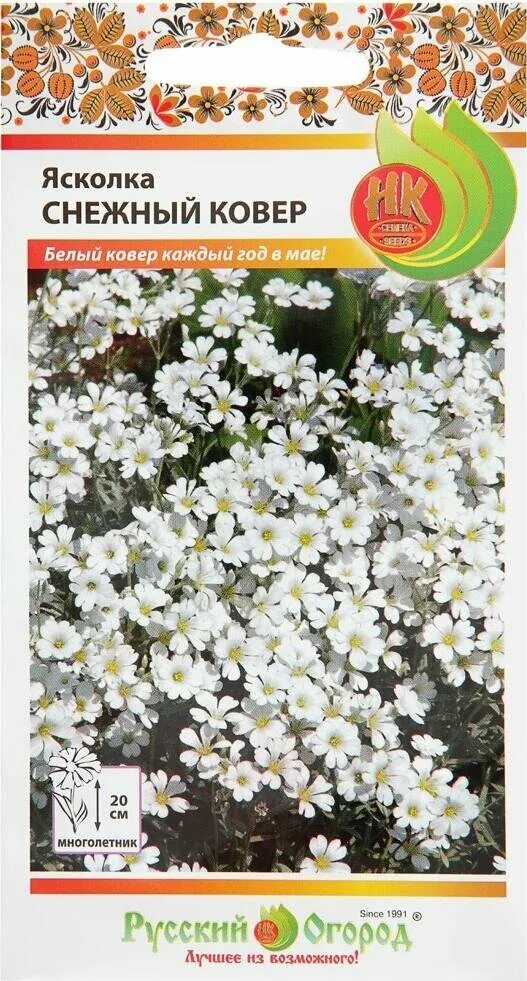 семена ясколка снежный ковер. ясколка снежный ковер, семена (0. семена ясколка снежный ковер. ясколка войлочная (cerastium tomentosum). цветы ясколка снежный ковер.