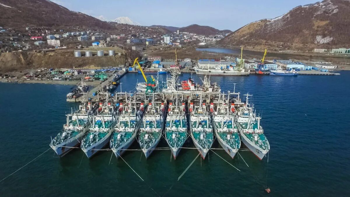 Корабль Петропавловск Камчатский. Паллада на Камчатке. Корабли море Камчатка. Парусник на Камчатке. 1 июля петропавловск камчатский