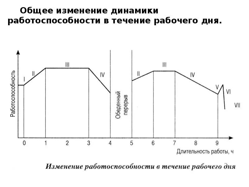 Работоспособность изменяется в течение. Три фазы динамики работоспособности. Суточная динамика работоспособности. Динамика работоспособности в течение рабочего дня. Недельная динамика работоспособности.