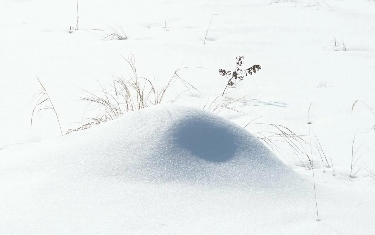 Снег сугробы. Ребенок в сугробе. Сугробы рисунок. Холмик снега. Заячья берлога