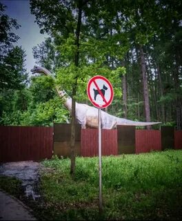 Динозавры в туле в белоусовском парке