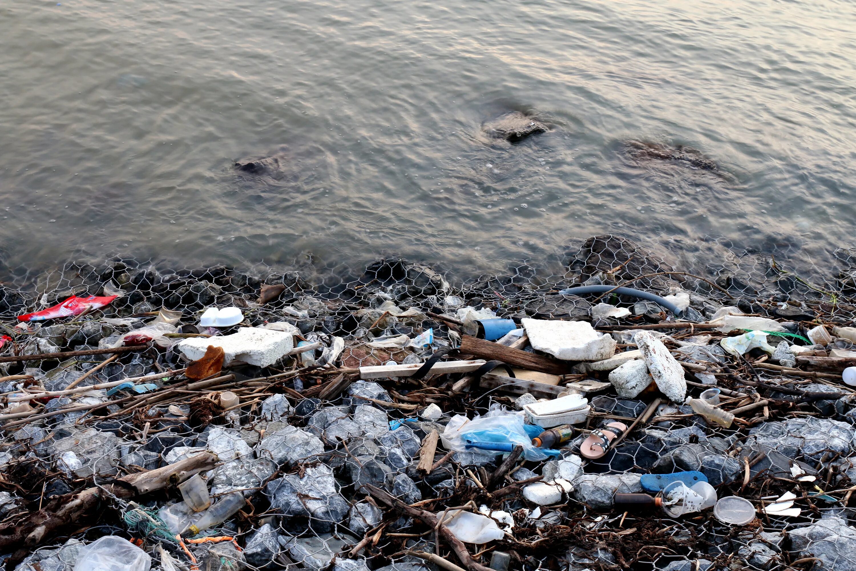 Rains waste. Мусор в воде. Море в отходах. Отходы в реку. Отравленная вода в реке.