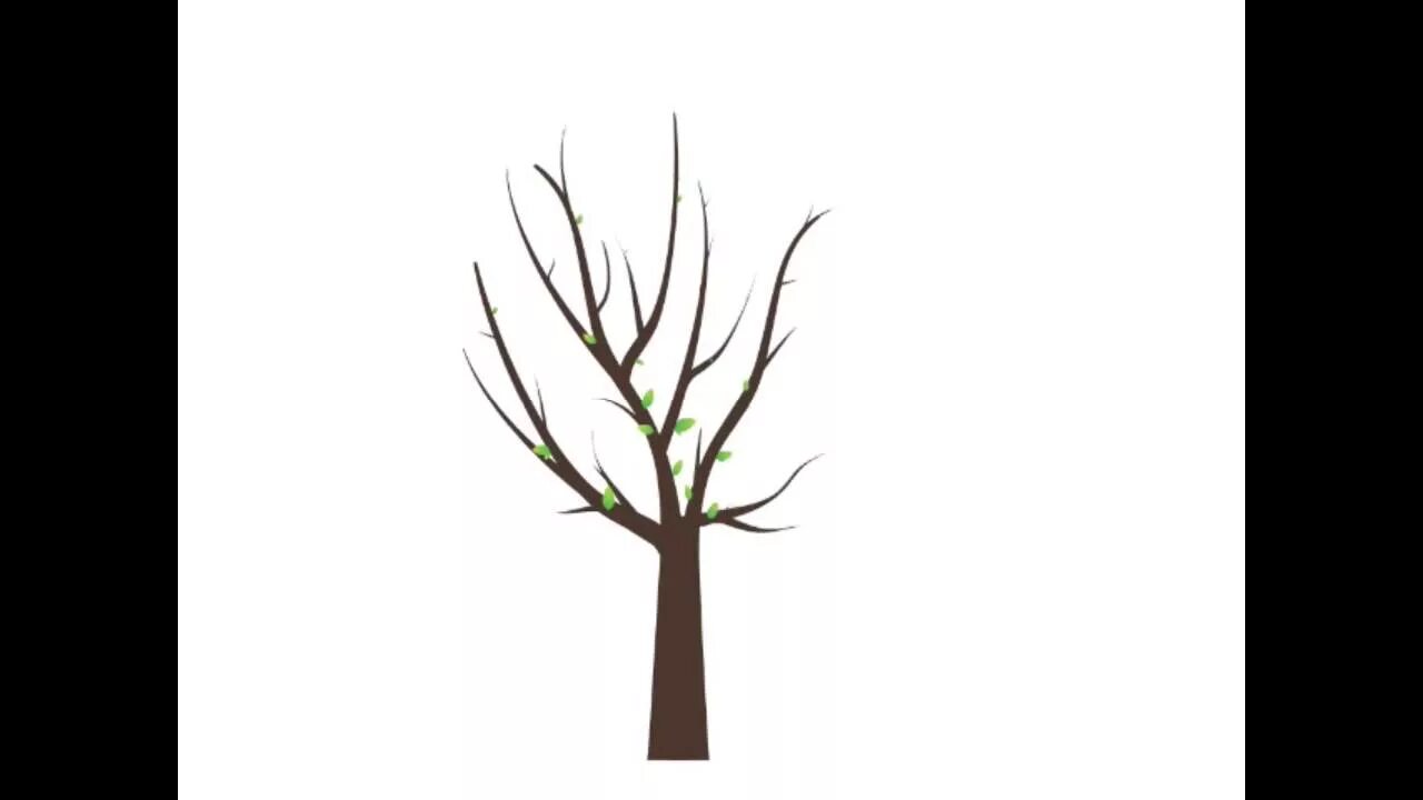 Растущее дерево видео. Дерево анимация. Растущее дерево. Растущее дерево анимация. Рост дерева.