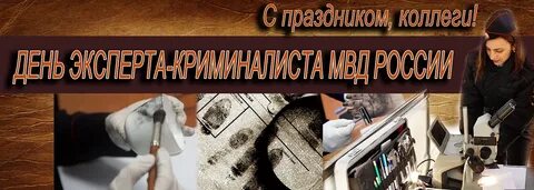 С днем экспертной службы открытки