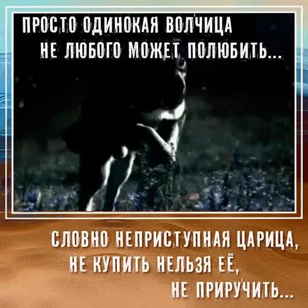 Просто одинокая волчица не любого