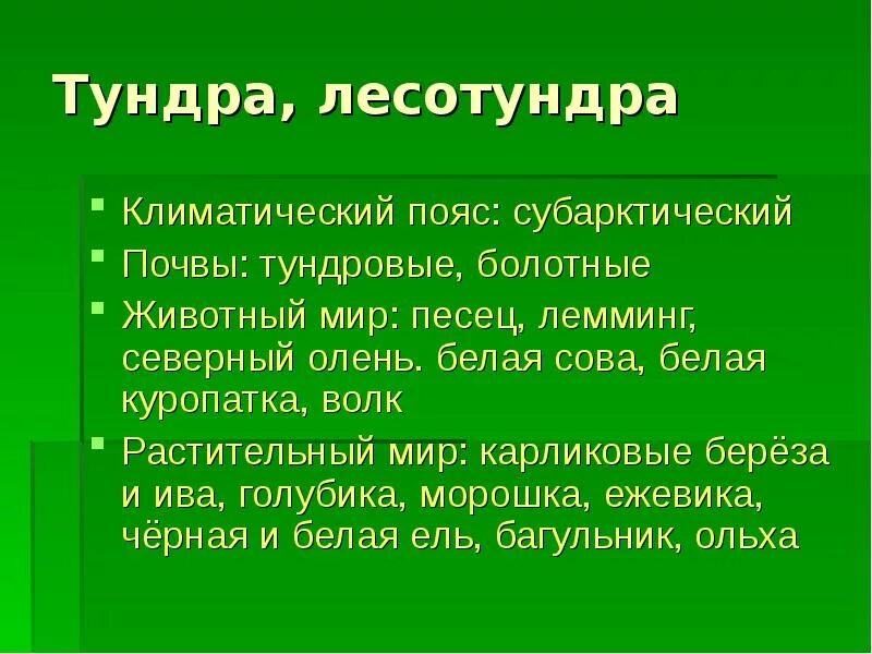Лесотундра климат летом. Какой климатический пояс в лесотундре. Лесотундра описание природной зоны. Рельеф тундры и лесотундры. Лесотундра географическое положение.