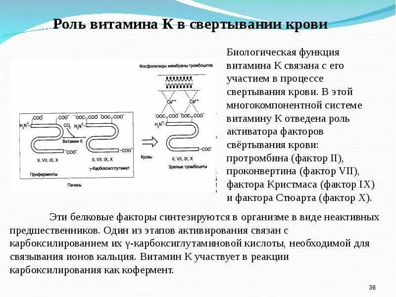 Какая связь между кальцием и свертываемостью крови