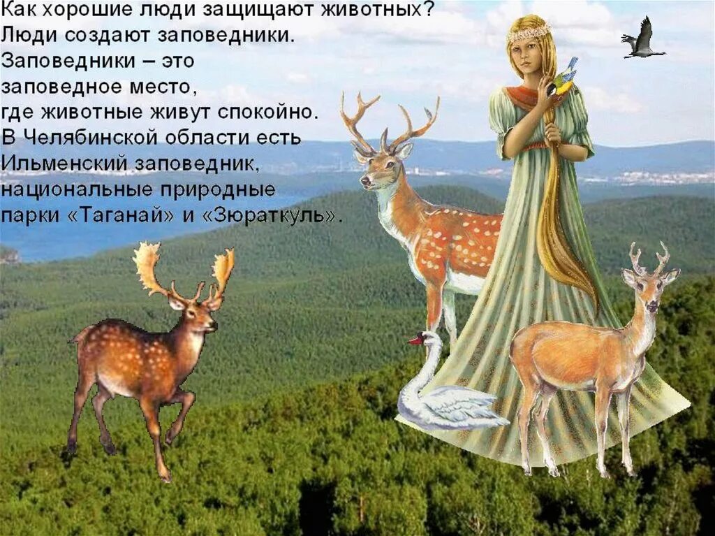 Об этом заповедном месте написано многое грамматическая