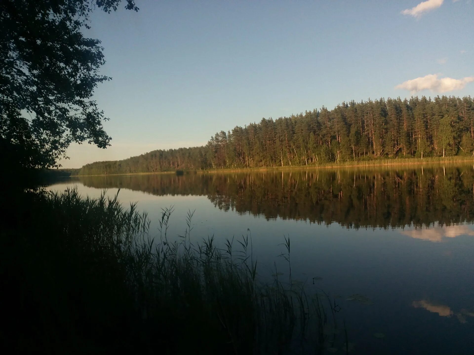 Озеро долгое площадь. Горнешное озеро Бологое. Долгое озеро Лобня. Круглое озеро Лобня. Озеро долгое Московская область.