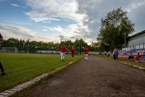 Ногинск поля