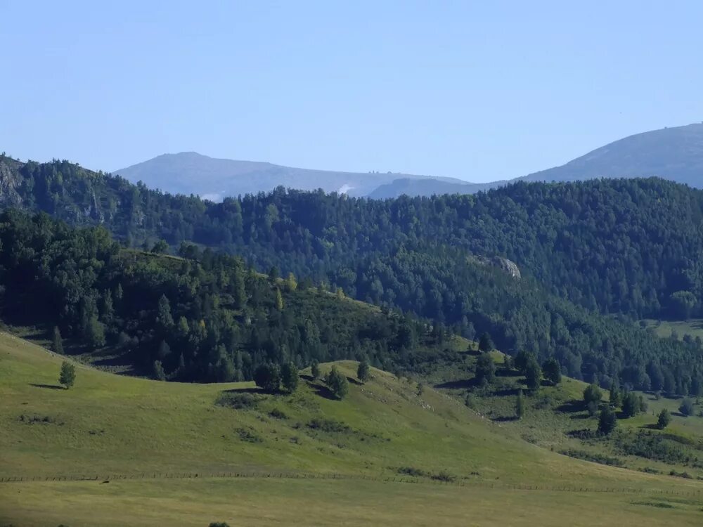 Погода в березовке чарышского края. Село Чинета Алтайский край. Алтай. Чинета. Маралиха Алтайский край. Чинета 2 Краснощёковский район.