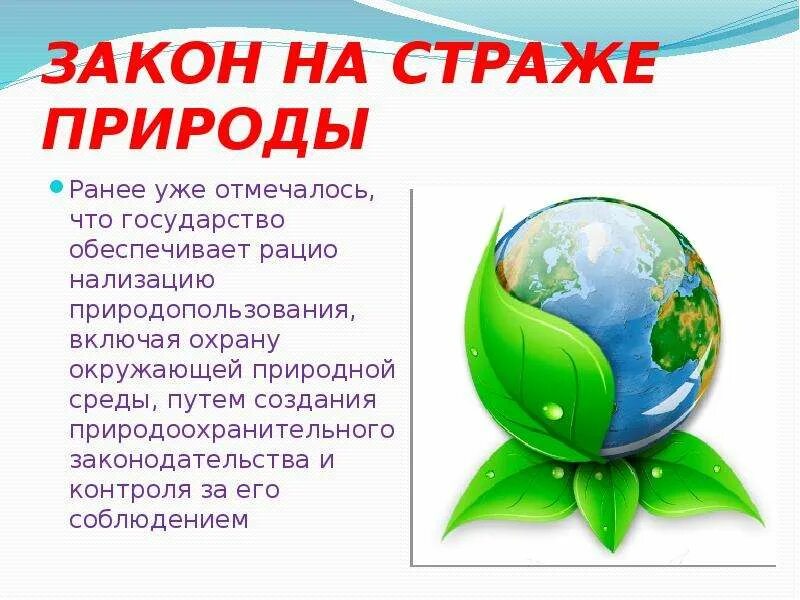 Закон на страже природы. Закон на страже природы презентация. Закон на страже природы доклад. Плакат на тему закон на страже природы.