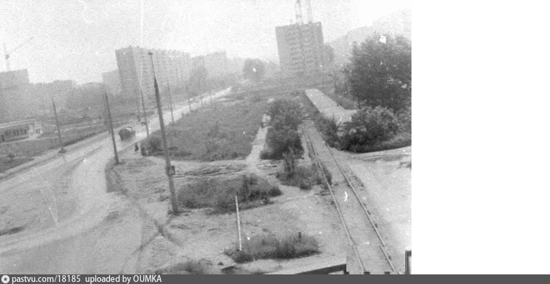 Фото старого отрадного. Березовая аллея 1990 год. Ветка бескудниково-лосиноостровская. Фото старого отрадного. Березовая аллея.