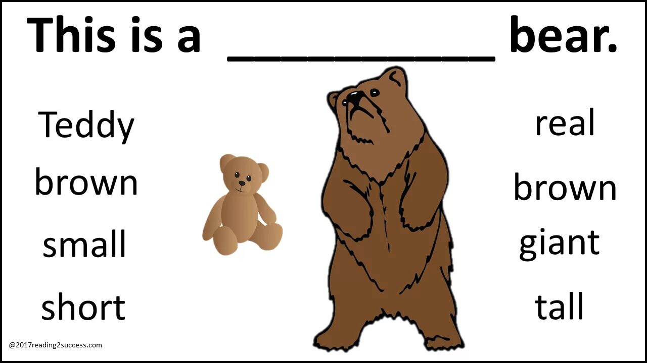 Bear транскрипция английский. Describing animals прилагательные. Adjectives about animals. Adjectives describing animals. Teddy Bear английский.