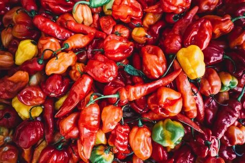 Well peppers