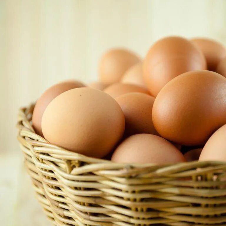 Egg 2025. Яйцо. курицы нежно бежевого цвета. eggs.