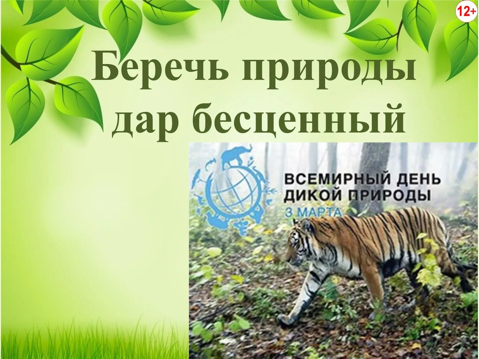 Дары природы. Природа бесценный. Природа бесценный. Природа бесценный. Берегите природу презентация.