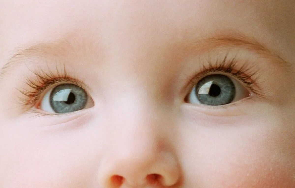 Baby eye песня. Глаза ребенка. Глаза новорожденного. Цвет глаз младенца. Здоровые детские глаза.