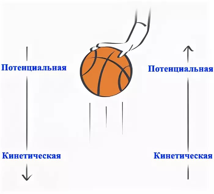 Потенциальная переходит в кинетическую. Кинетическая и потенциальная энергия на примере мяча. Потенциальная и кинетическая энергия мячика. Потенциальная энергия из кинетической. Из кинетической в потенциальную.