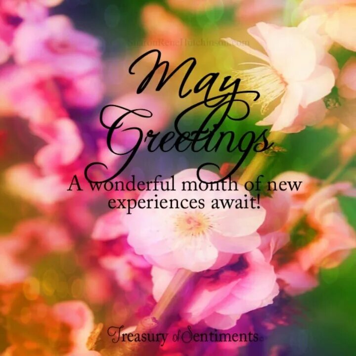 It was the month of may. May month. spring месяца. may is the month of the year. may quotes.