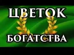 Какой цветок богатства