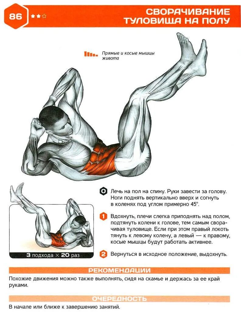 Поперечная мышца живота как накачать. Упражнения для наружной косой мышцы живота. Упражнения на пресс сбоку. Внутренняя косая мышца живота упражнения. Упражнения на развитие прямой мышцы живота.