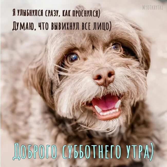 Позитив суббота