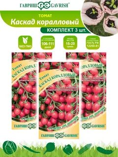 Томат коралловый отзывы