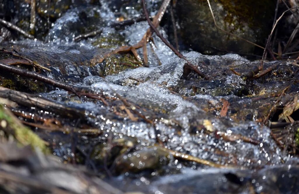 Талые воды. Весенние талые воды. Талые воды на Сахалине. Талые воды весной