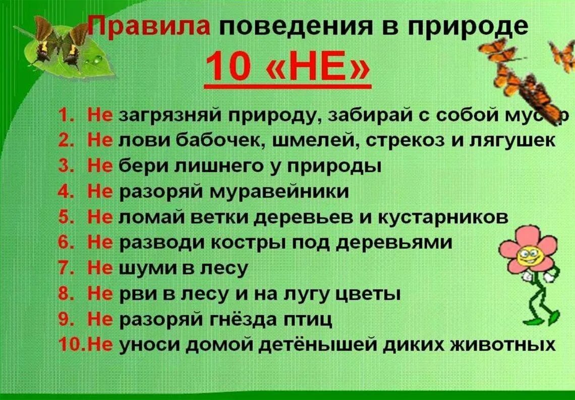 Правила настоящего эколога. Правила поведения на природе. Правила проведения на природе. Правило проведение природе. Правила поведения намприроде.