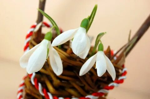 Картинки мэрцишор с первым днем весны