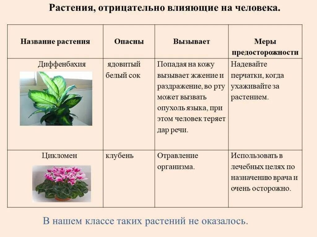 Из каких слов складывается видовое название растения. Полезные комнатные цветы. таблица комнатных растений. полезные и вредные растения. вредные для человека растения биология.