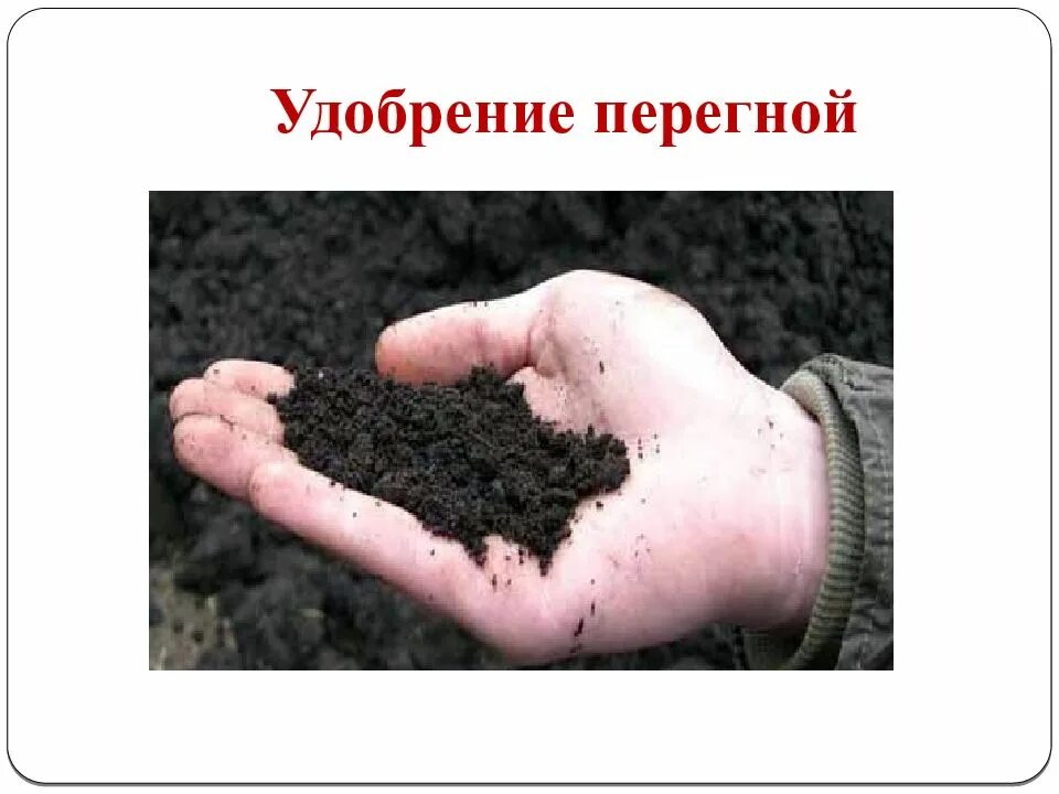 Свойства почвы 3 класс. Способностью удерживать перегной обладают:. Почвенный гумус. Торф навоз. Способность удерживать перегной.