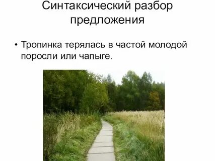 4 предложения с тропами