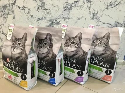 Корма для котят проплан отзывы